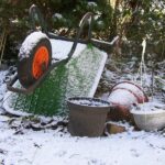 winter wheelbarrow
